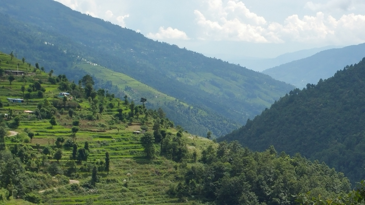Überall beim Aufstieg sind Häuser zu sehen. Von weitem sieht man die Schäden nicht.

