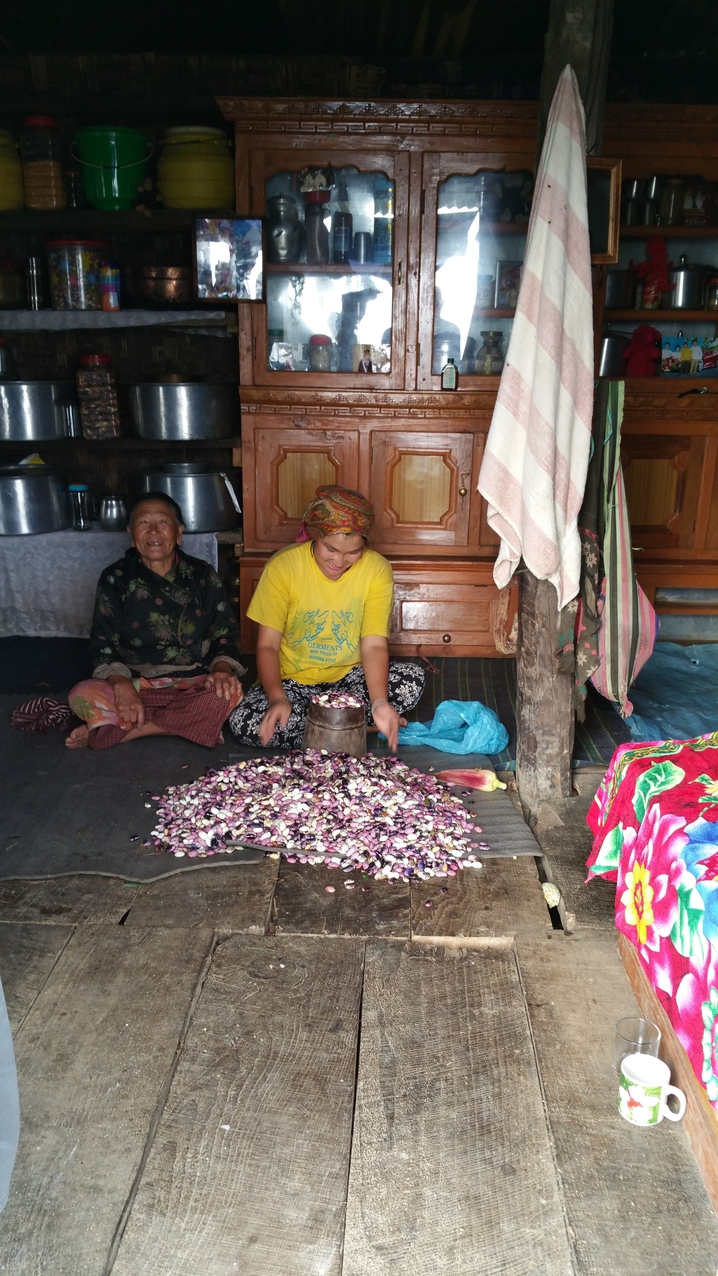Manche Bewohner konnten Teile der Einrichtung aus den Trümmern retten und haben sich damit in den Wellblech-Unterständen damit eingerichtet. Tshering, der Sohn von Ganta Lama, dem Koch in Kajis Hütte, hat uns ein paar Türen geöffnet.
