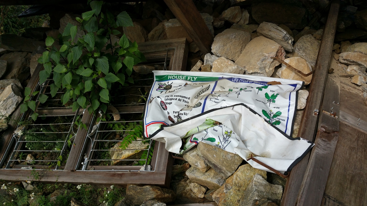 Reste aus dem Biologie Unterricht.
