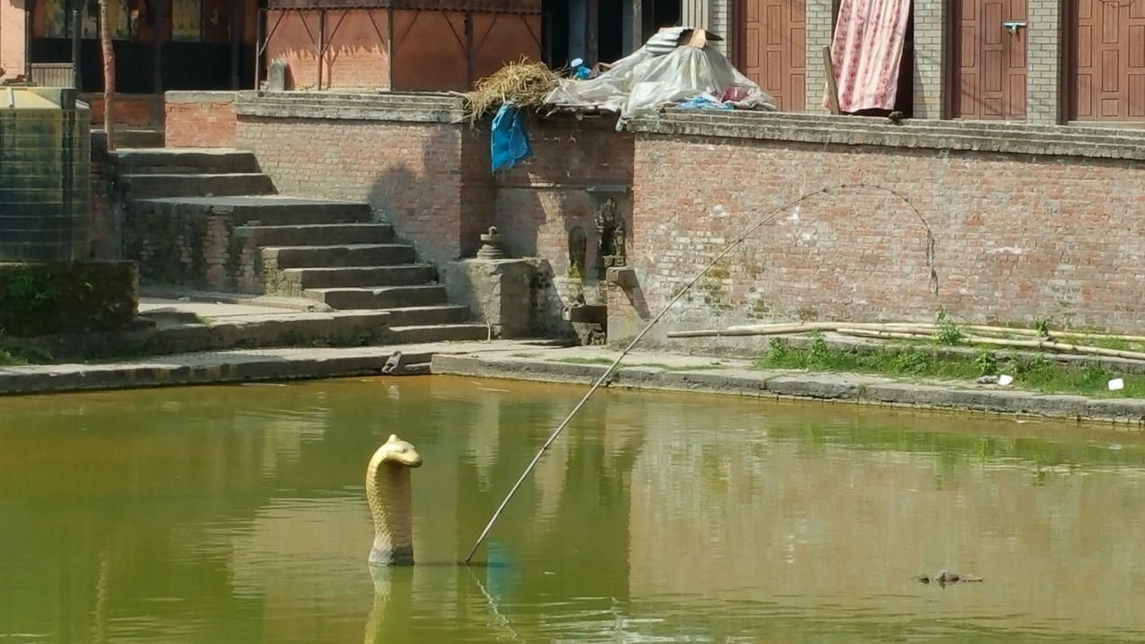Eine Kobra, die Beschützerin des Königs, ragt aus dem Wasser und angelt. Die Schlange symbolisiert den Zeichencharakter des Wassers für die Fruchtbarkeit
