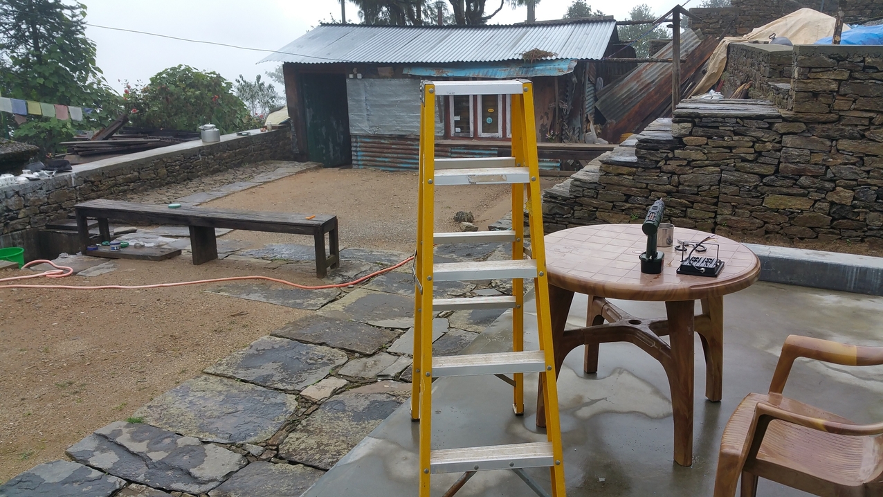 Suchbild: Wo ist das Tier? (Es ist gut getarnt)
